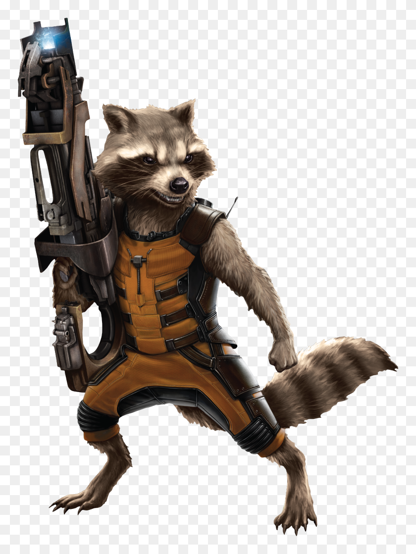 2658x3609 Image - Racoon PNG
