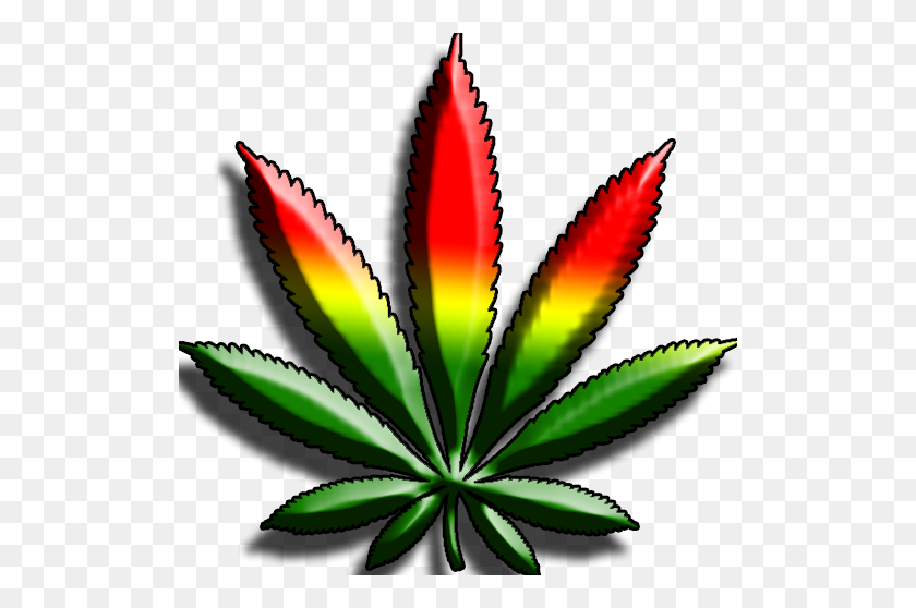 512x498 Image - Weed PNG