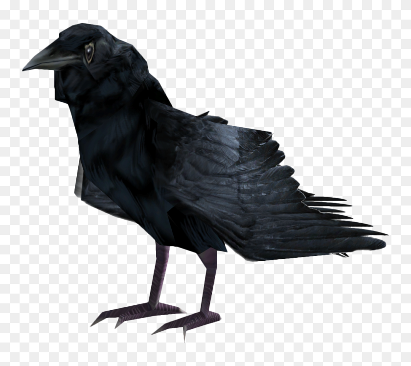 1020x900 Image - Ravens PNG