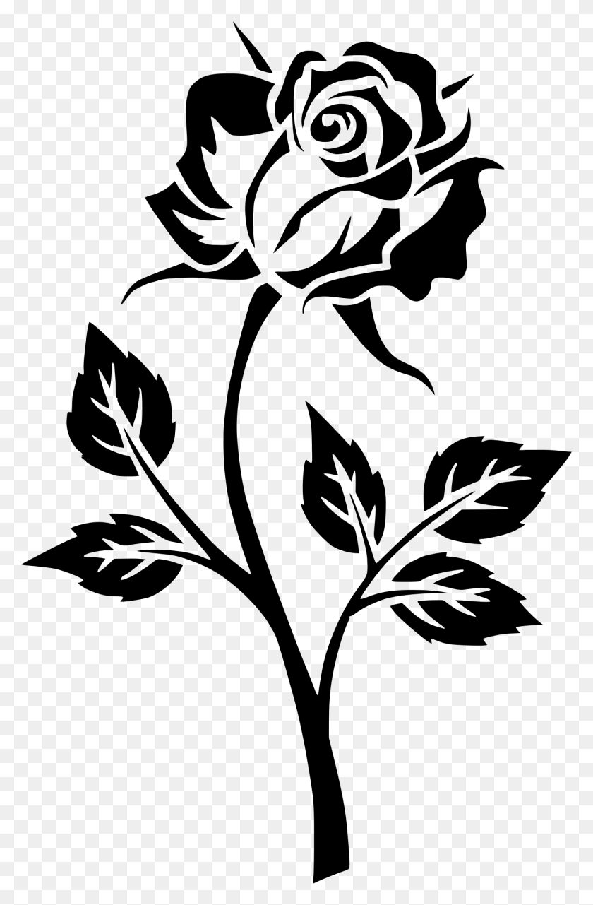1492x2336 Image - Rose Silhouette PNG