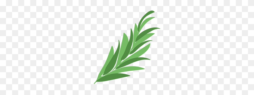 256x256 Image - Rosemary PNG