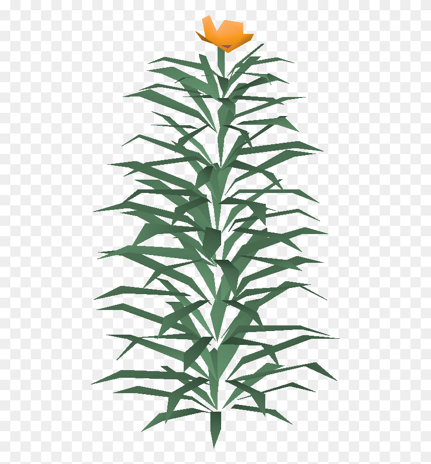 485x844 Image - Rosemary PNG