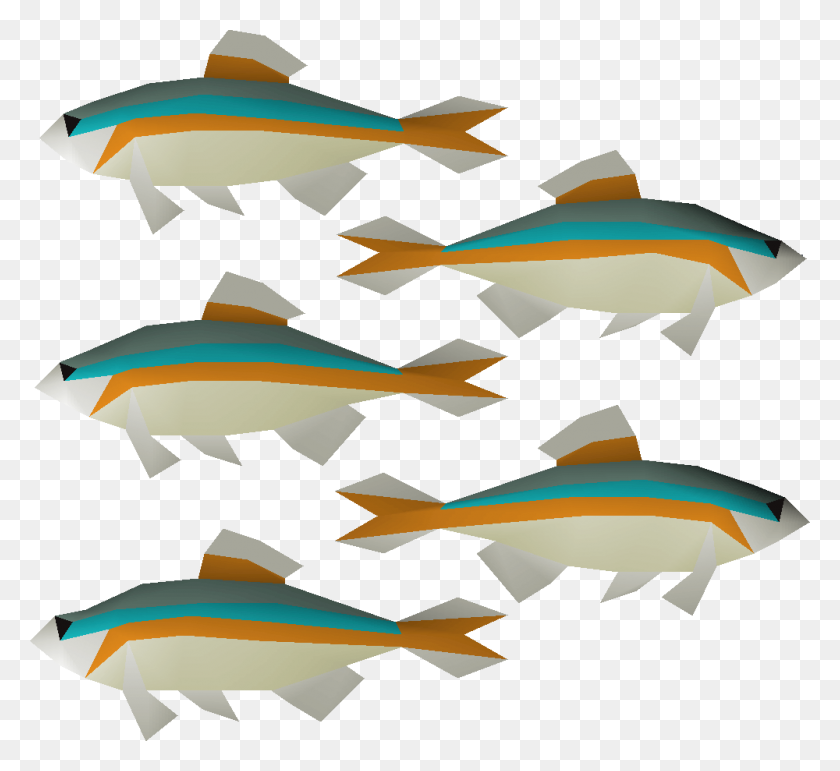 1000x912 Image - School Of Fish PNG