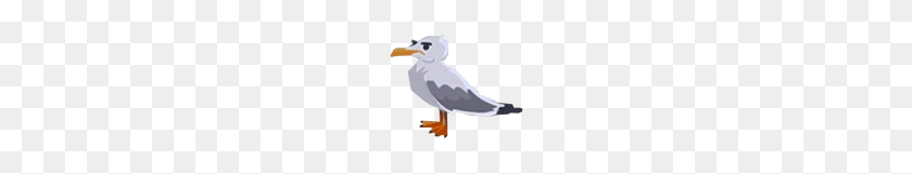 126x101 Image - Seagull PNG