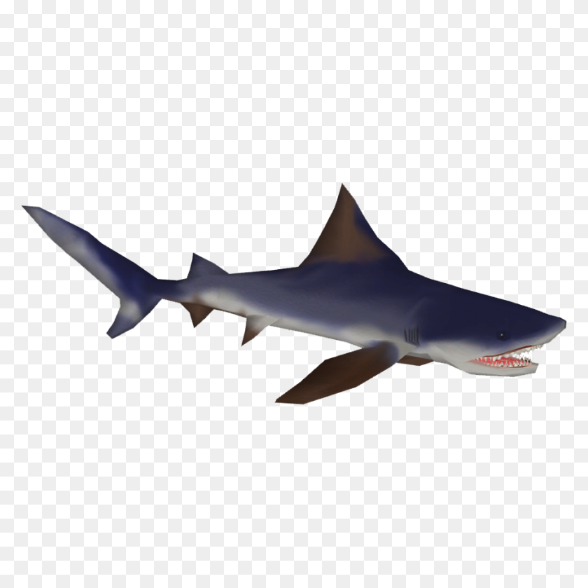 904x904 Image - Shark Fin PNG