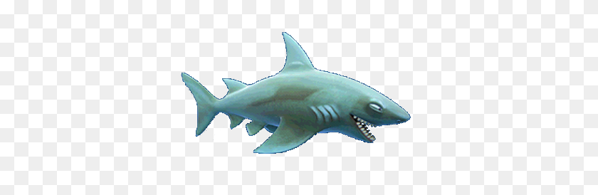 341x214 Image - Shark PNG