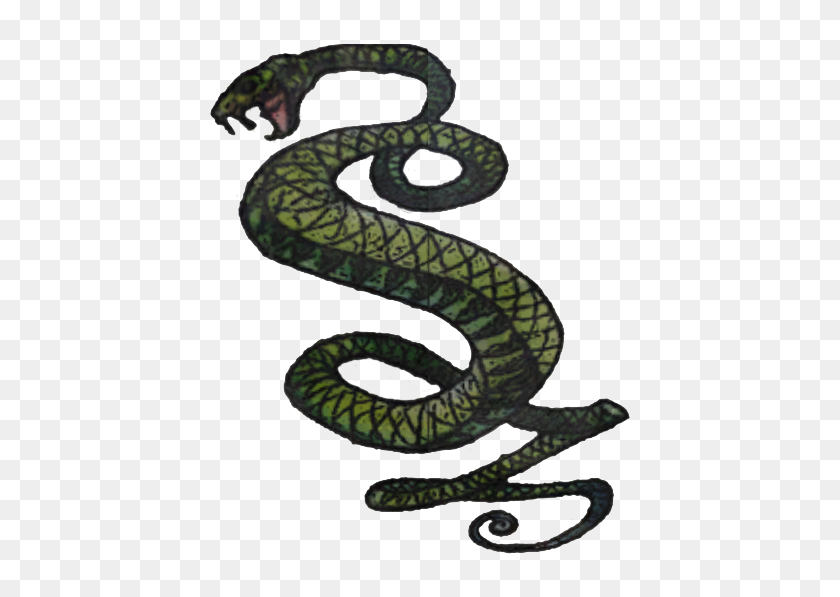 442x537 Image - Snake PNG