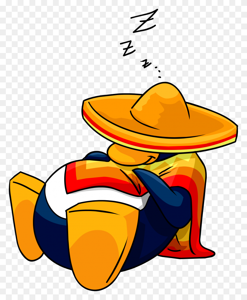 3171x3900 Image - Sombrero Clipart PNG