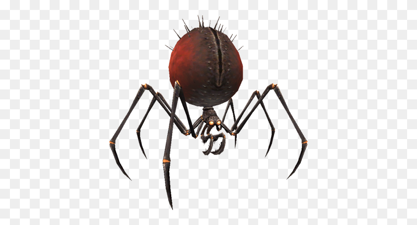 400x393 Image - Spider PNG