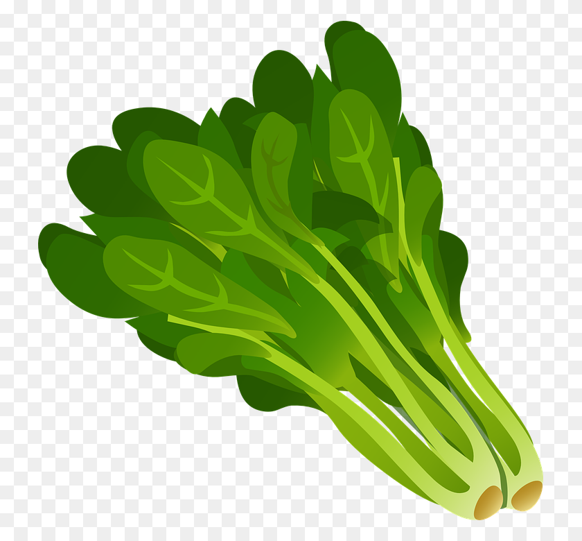 729x720 Image - Spinach PNG