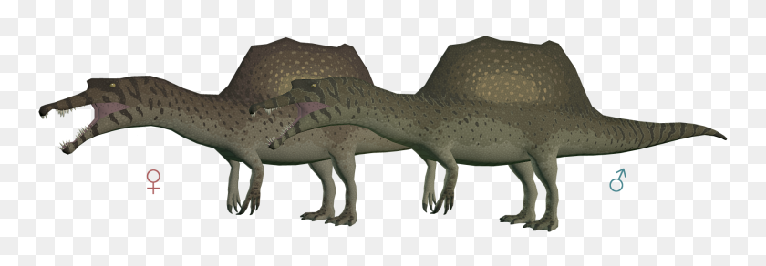 1816x541 Imagen - Spinosaurus Png