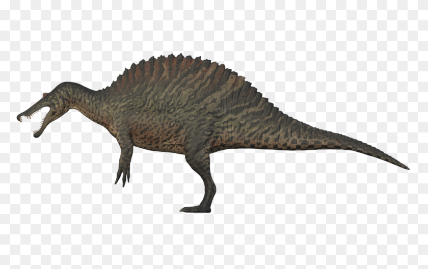 1000x600 Imagen - Spinosaurus Png