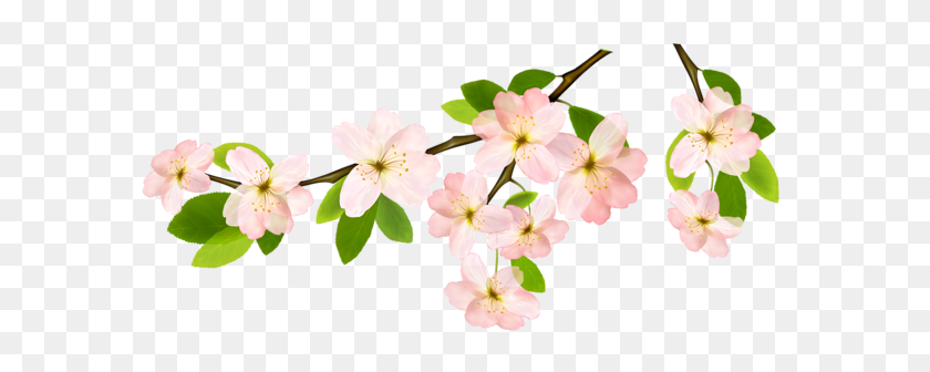 600x276 Image - Spring Flowers PNG