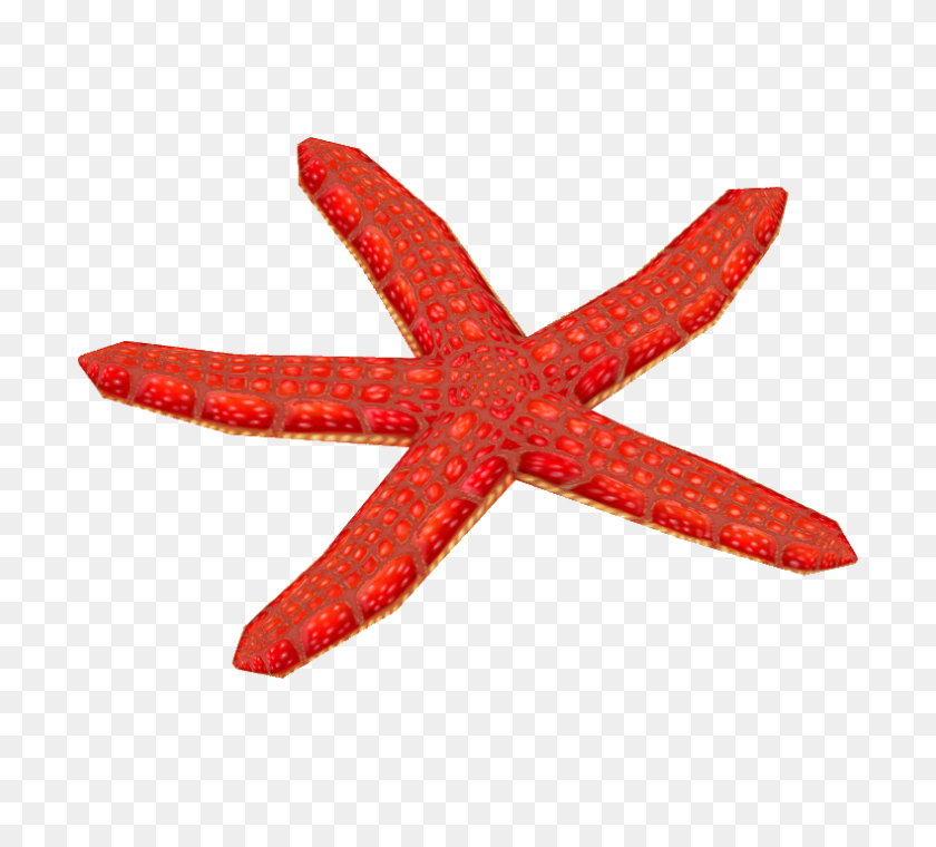 700x700 Image - Starfish PNG