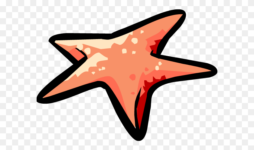598x435 Image - Starfish PNG
