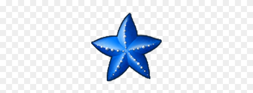 250x250 Image - Starfish PNG