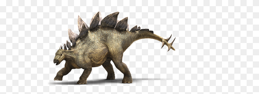 530x246 Imagen - Stegosaurus Png