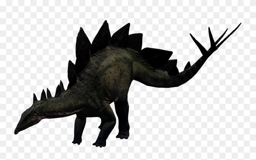 1590x947 Imagen - Stegosaurus Png