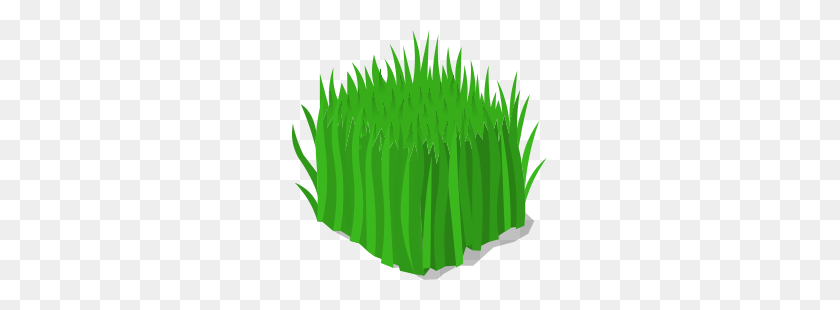 255x250 Image - Tall Grass PNG