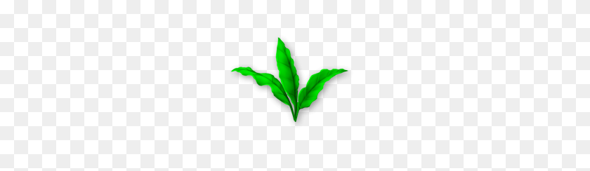 184x184 Image - Tea Leaf PNG