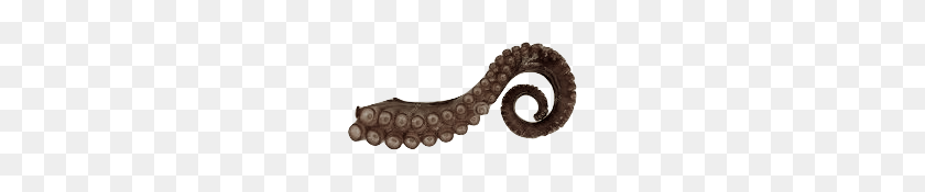 238x115 Image - Tentacle PNG