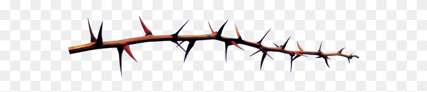 576x122 Image - Thorn PNG