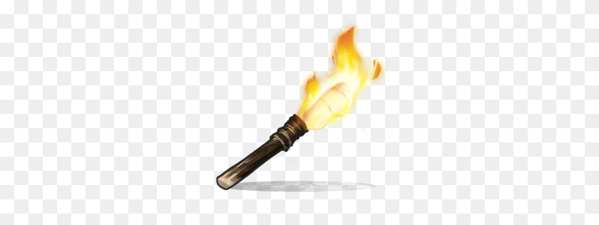 256x256 Image - Torch PNG