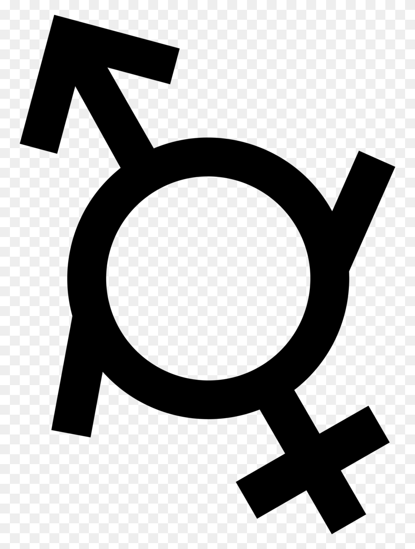 760x1052 Image - Transgender Symbol PNG