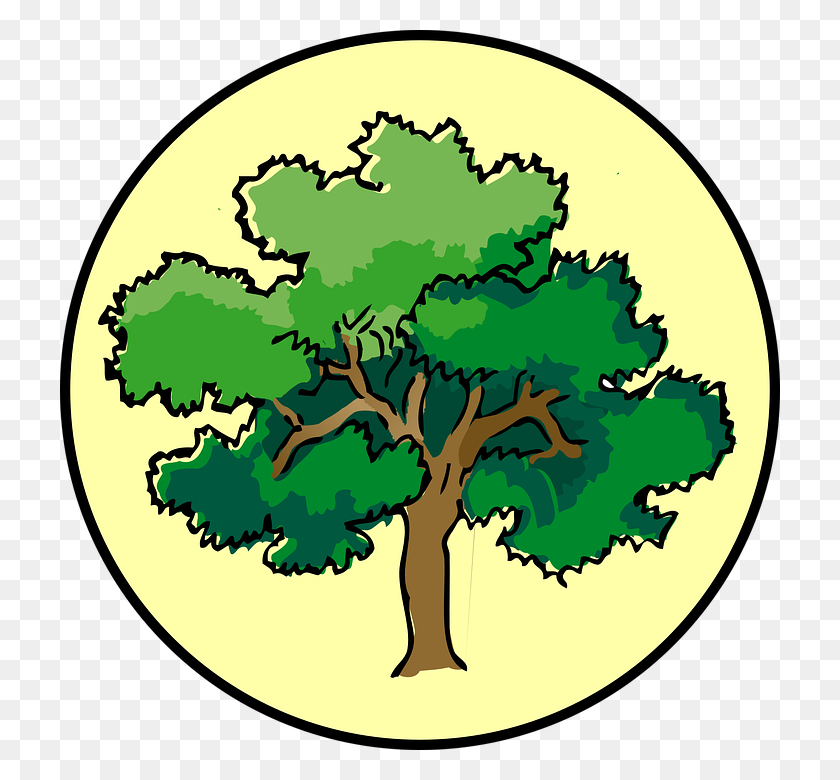 720x720 Image - Tree Bark PNG
