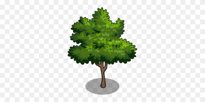 300x359 Image - Tree Icon PNG