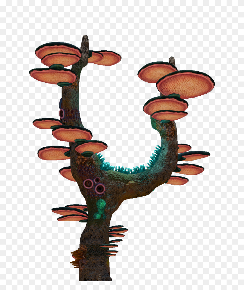 900x1080 Image - Tree Trunk PNG
