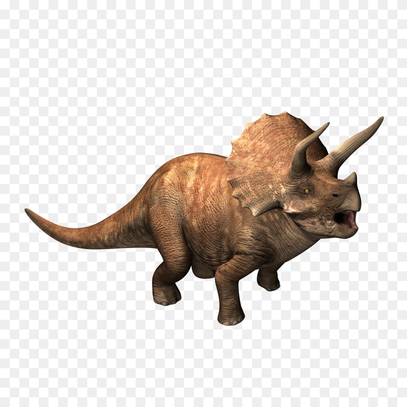 3000x3000 Image - Triceratops PNG