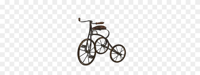256x256 Image - Tricycle PNG