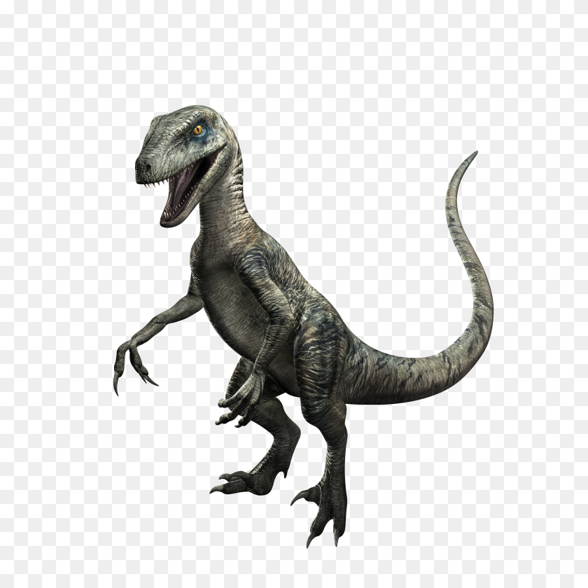 3000x3000 Image - Velociraptor PNG