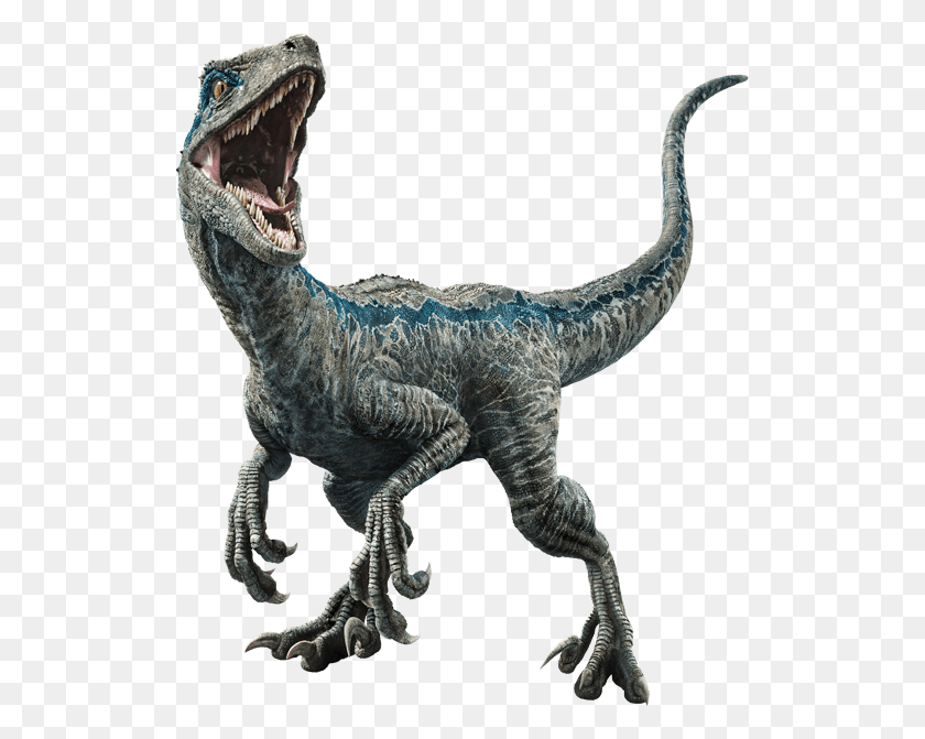 521x611 Imagen - Velociraptor Png
