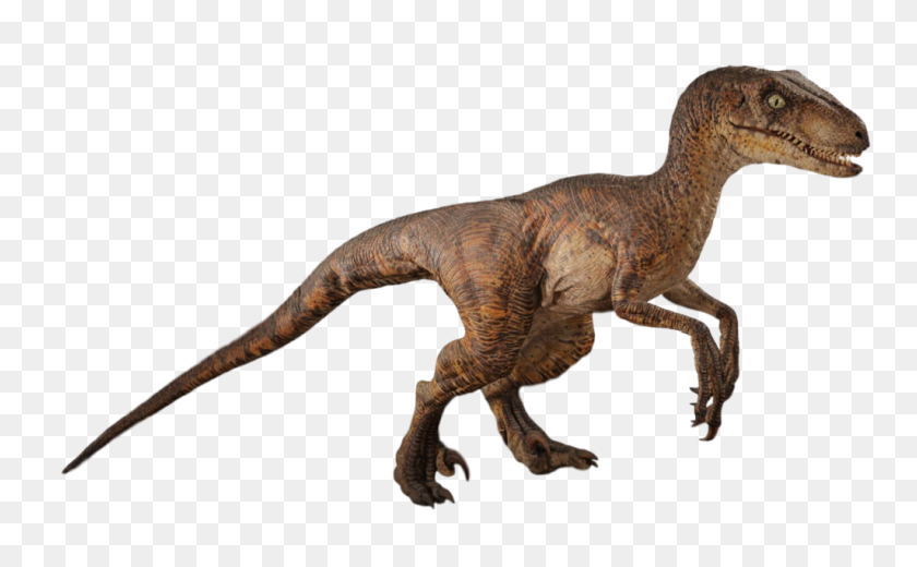 1024x605 Image - Velociraptor PNG