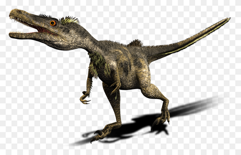 945x582 Imagen - Velociraptor Png