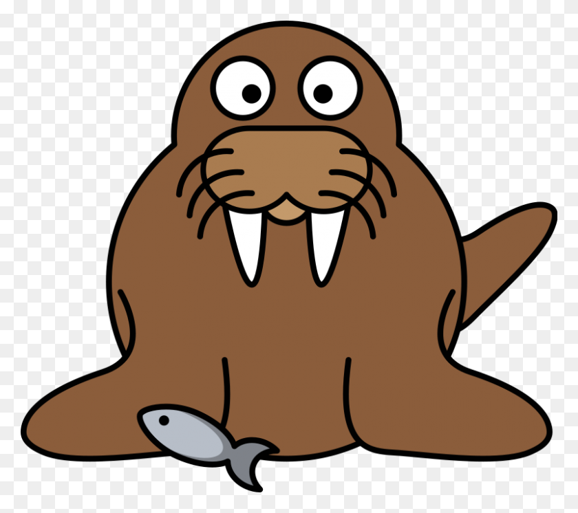 800x704 Image - Walrus PNG