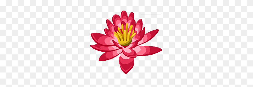 255x228 Image - Water Lily PNG