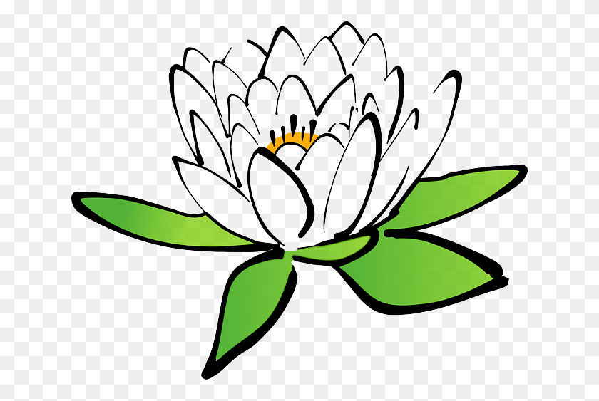 640x503 Image - Water Lily PNG