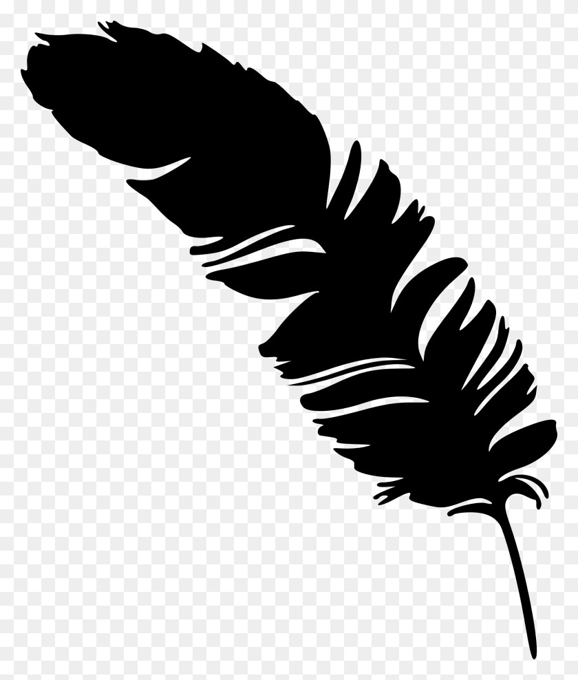 1988x2367 Image - White Feather PNG