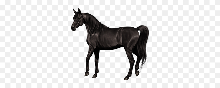 300x278 Image - White Horse PNG