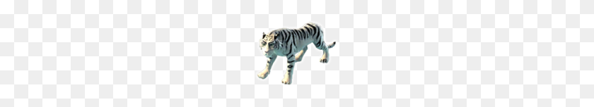 119x92 Image - White Tiger PNG