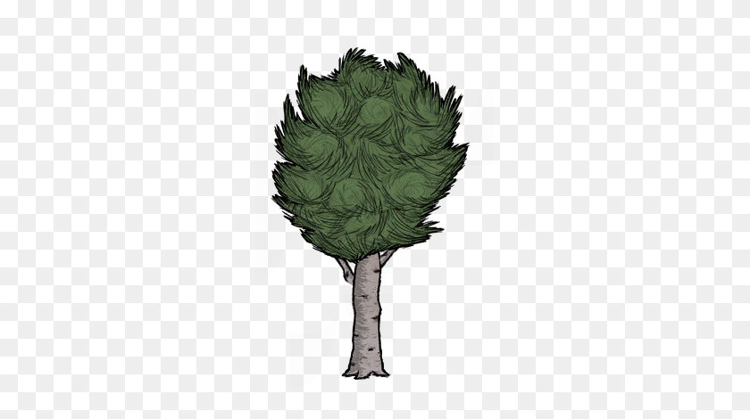 265x410 Image - Willow Tree PNG