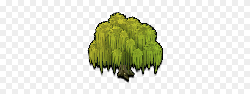 256x256 Image - Willow Tree PNG