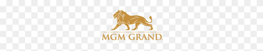 200x105 Image - Mgm Logo PNG