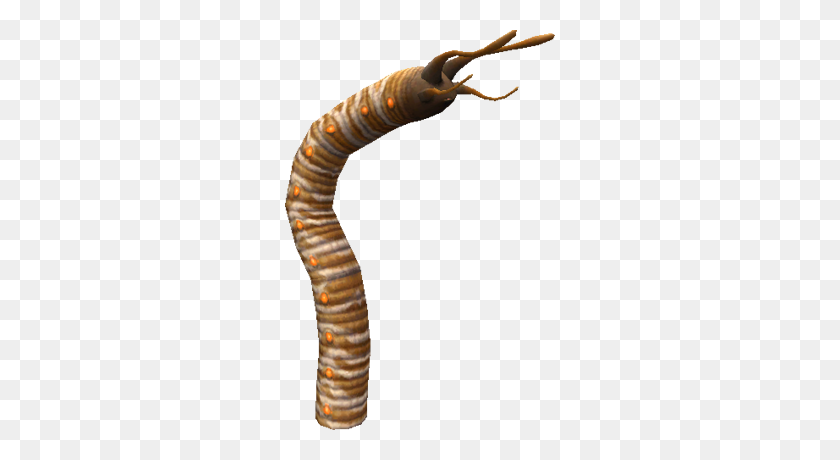 270x400 Image - Worm PNG