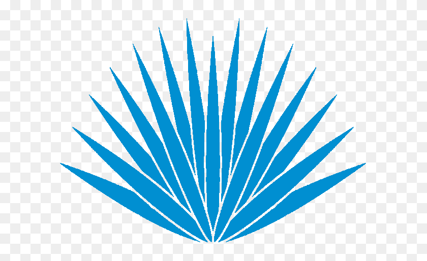 604x454 Image - Agave PNG