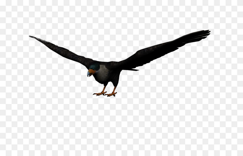 640x480 Image - Aguila PNG