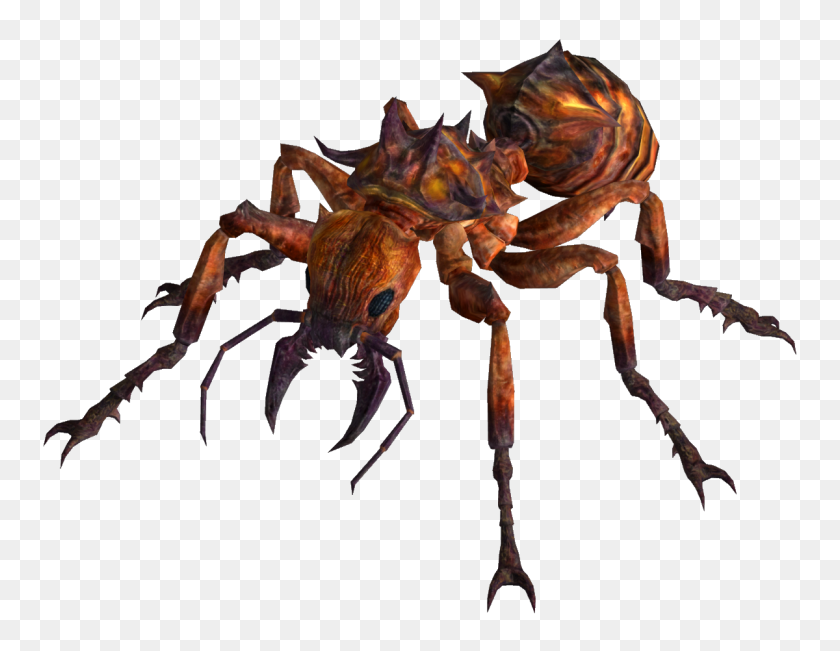 1200x910 Image - Ant PNG